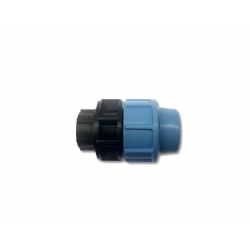 Przelot PE 20*1/2" gw
