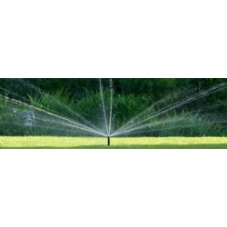 Dysza MP rotator Strip LS