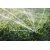 Dysza RAINBIRD R-VAN - SST
