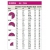Dysza RAINBIRD R-VAN 24 45-270/fioletowa/